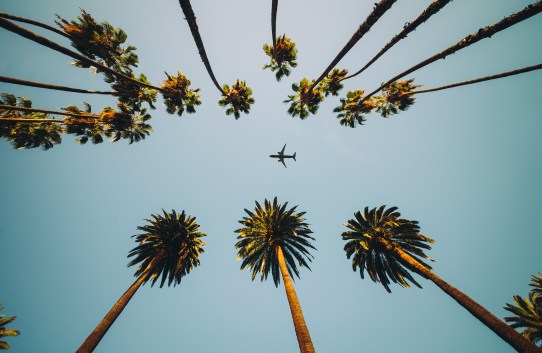 Unlocking Happiness: The Science Behind Travel and Mental Health Benefits