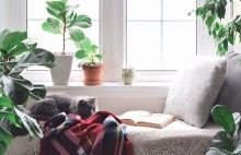 Top 5 Essential Tips for Creating a Cozy Reading Nook